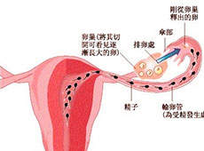 阿克苏无痛人流医院