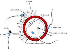 阿克苏无痛人流医院